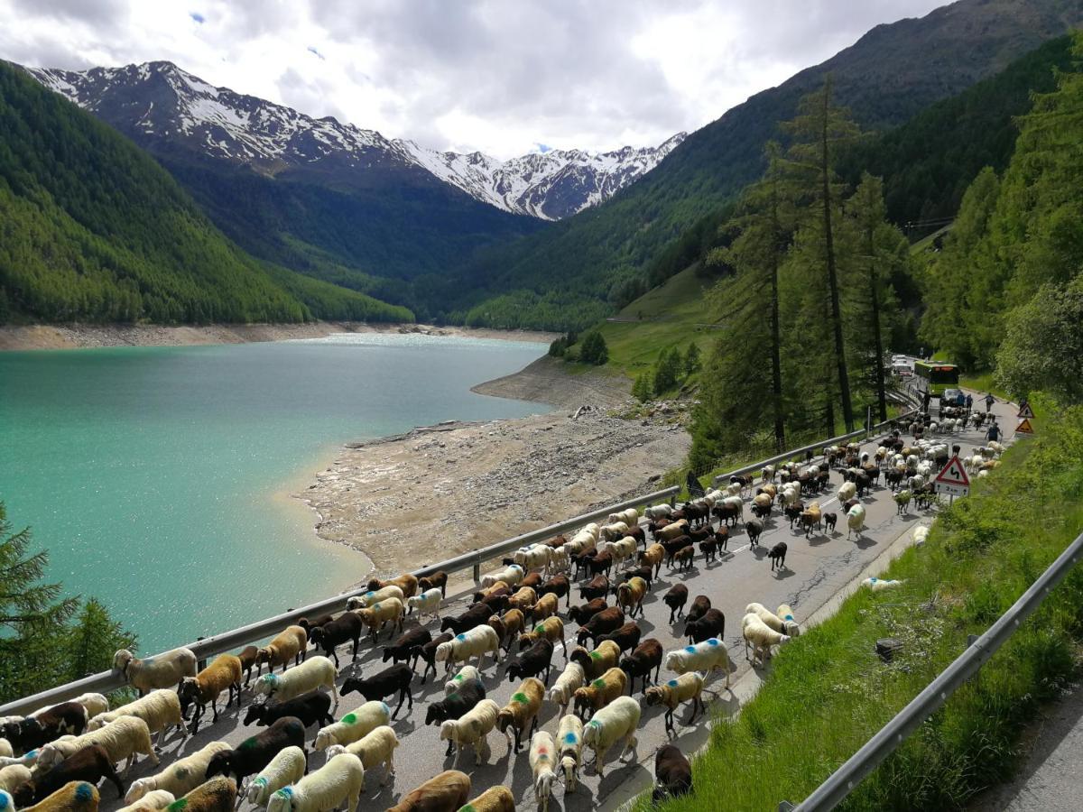 Hotel Vernagt Senales/Schnals Buitenkant foto